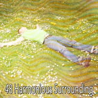 48 Harmonious Surrounding