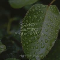 Spa 80 - Calming Ambient Rain