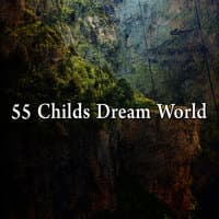 55 Childs Dream World