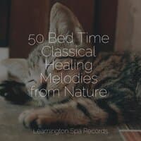 50 Bed Time Classical Healing Melodies from Nature