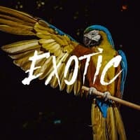 Exotic