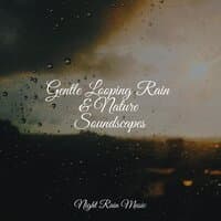 Gentle Looping Rain & Nature Soundscapes