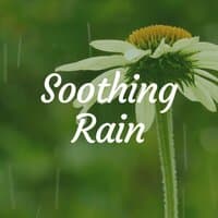 Soothing Rain