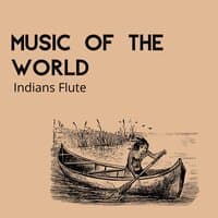 Music of the World (Indians Flute)