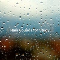 Rain Sounds for Study