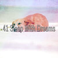 41 Sleep with Dreams