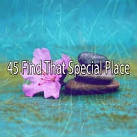 45 Find That Special Place