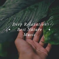 Deep Relaxation: Best Nature Music