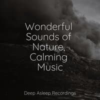 Wonderful Sounds of Nature, Calming Music