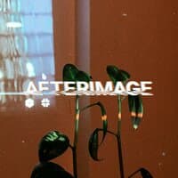 Afterimage