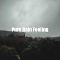 Pure Rain Feeling