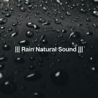 Rain Natural Sound