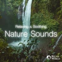 Relaxing & Soothing - Nature Sounds