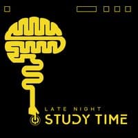 Late Night Study Time: Ambient Music to Increase Concentration and Effective Learning