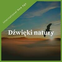 Dźwięki natury - Spokojna muzyka New Age