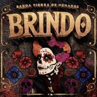 Brindo