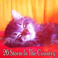 26 Storm in the Country