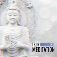 True Buddhist Meditation – Collection of Deep Spiritual Zen Melodies for Contemplations and Yoga