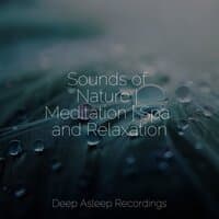 Sounds of Nature | Meditation | Spa and Relaxation