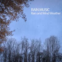 Rain Music: Rain and Wind Weather