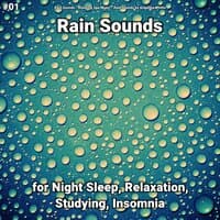 #01 Rain Sounds for Night Sleep, Relaxation, Studying, Insomnia