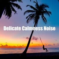 Delicate Calmness Noise