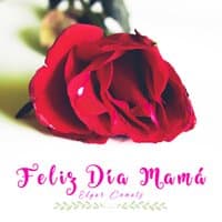 Feliz día Mamá