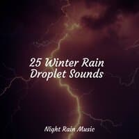 25 Winter Rain Droplet Sounds