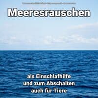 Meeresrauschen als Einschlafhilfe und zum Abschalten auch für Tiere