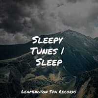 Sleepy Tunes | Sleep