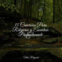 35 Canciones Para Relajarse y Escuchar Profundamente