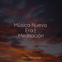 Música Nueva Era | Meditación