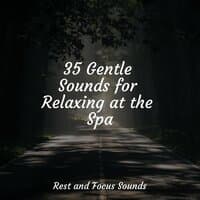 35 Gentle Sounds for Relaxing at the Spa