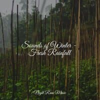 Sounds of Winter - Fresh Rainfall