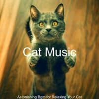 Astonishing Bgm for Relaxing Your Cat