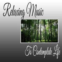 Relaxing Music To Contemplate Life