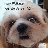 You tube demos V2