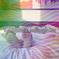 40 Highland Contemplation