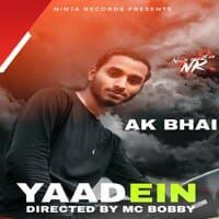 Yaadein