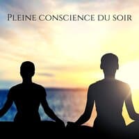 Pleine conscience du soir: L'eau sons zen