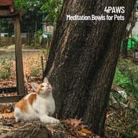 4Paws: Meditation Bowls for Pets