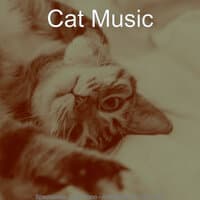 Spectacular Jazz Piano - Ambiance for Cute Cats