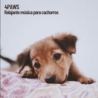 4Paws: Relajante música para cachorros