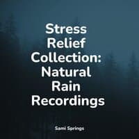 Stress Relief Collection: Natural Rain Recordings