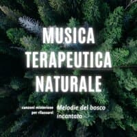 Musica terapeutica naturale - Melodie del bosco incantato, canzoni misteriose per rilassarsi