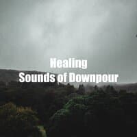 Healing Sounds of Downpour