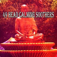 49 Head Calming Soothers