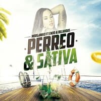 Perreo & Sativa