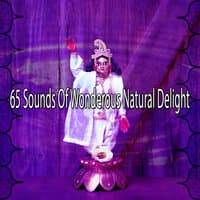 65 Sounds of Wonderous Natural Delight