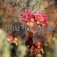 40 Find Peace for Bed